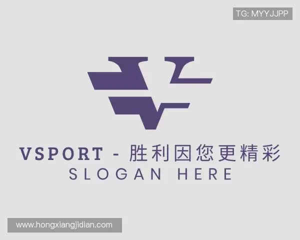 了解VSport